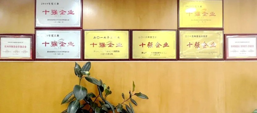 yl23455永利集团荆门加工中心再次入选萧山百强企业榜单